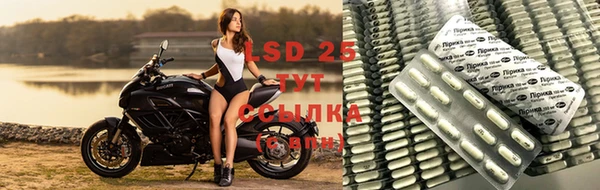 стафф Баксан